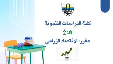 كلية الدراسات التتنموية - جامعة شندي